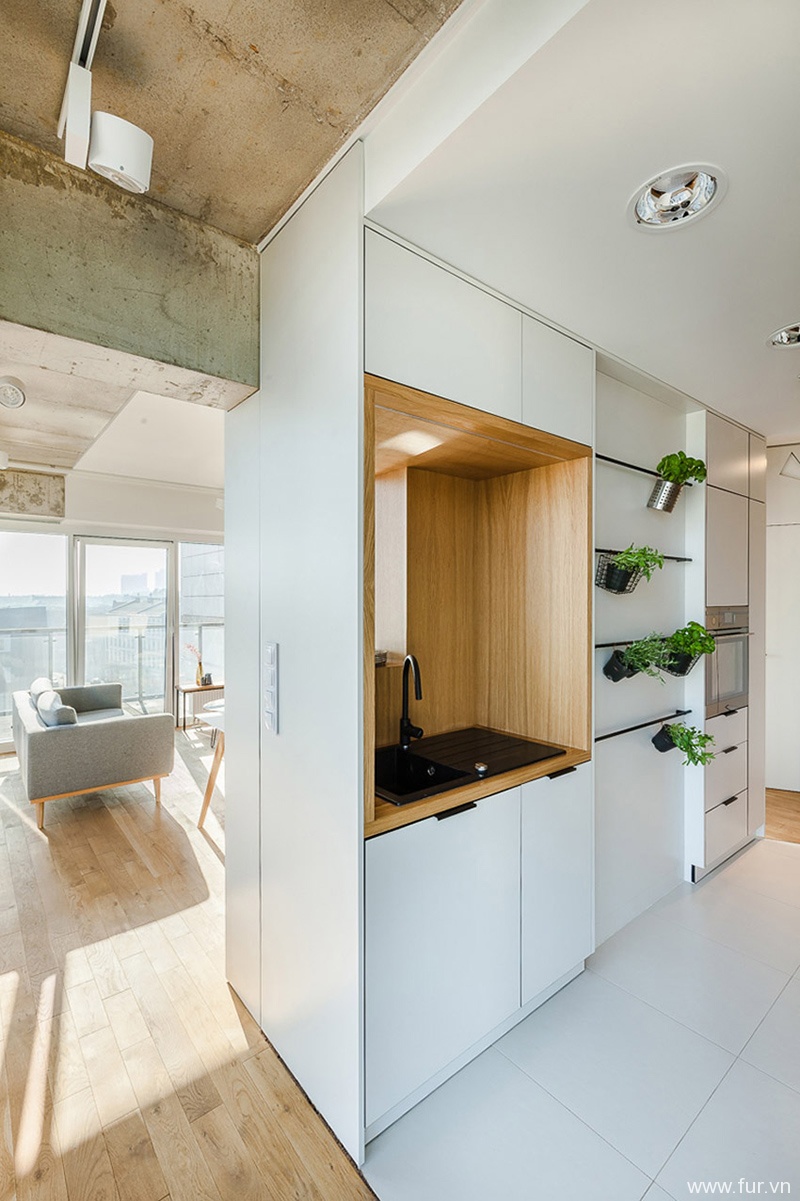 Poznan Apartment kitchen cabinet