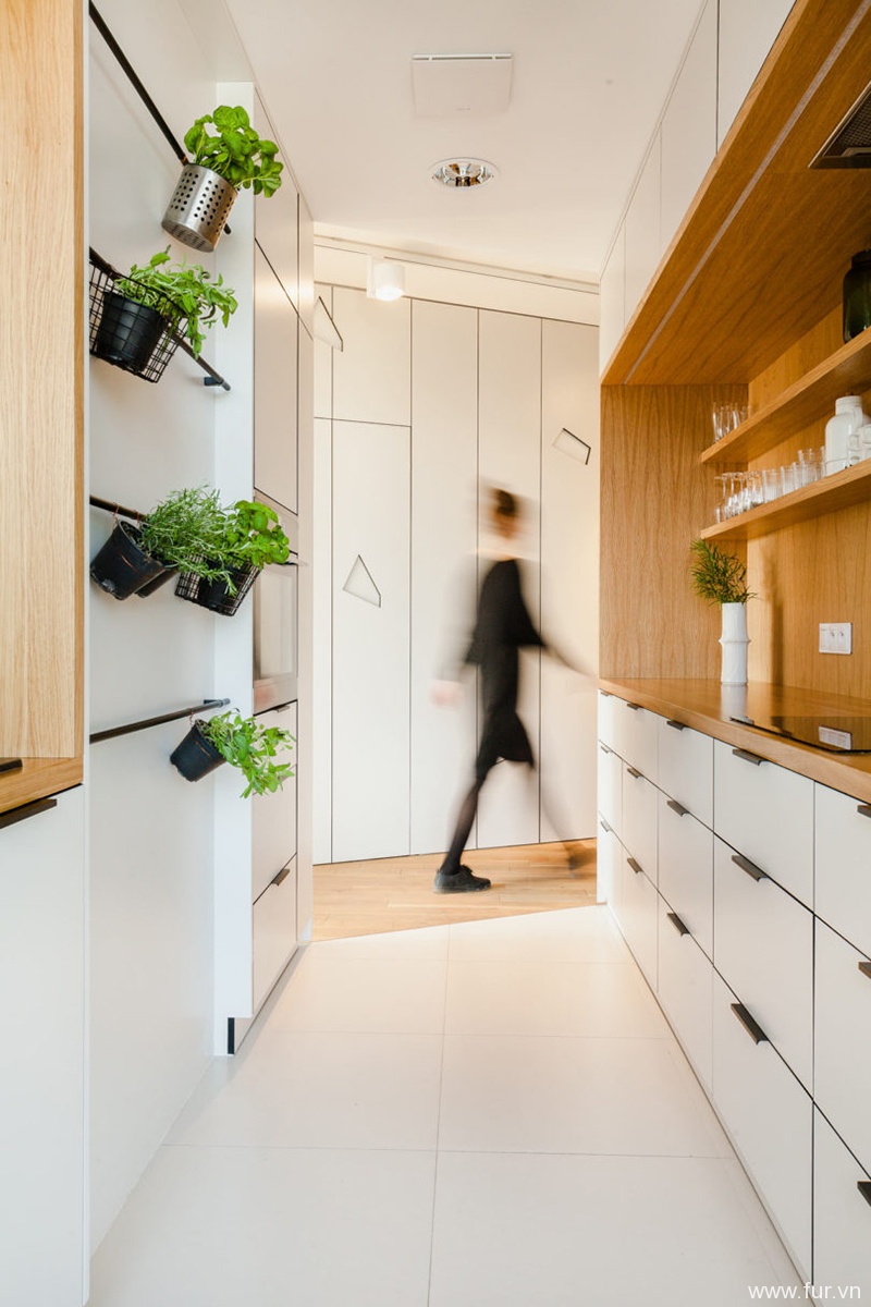 Poznan Apartment kitchen