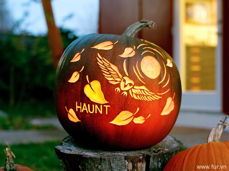 Pumpkin Carving