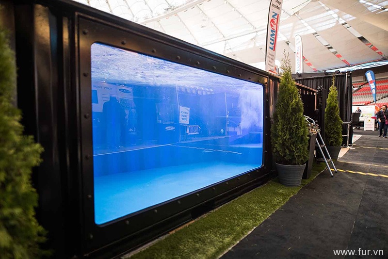 Shipping Container Swimming Pool home show