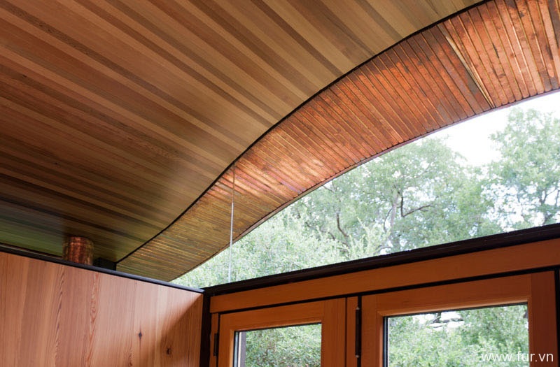 Pool House green roof